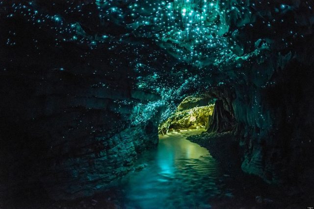 cueva-waitomo-glowworm-nueva-zelanda