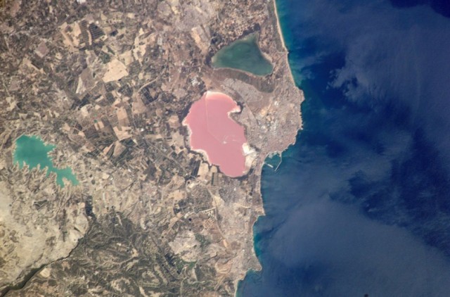lago-rosa-de-sal-toerrevieja-espana