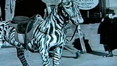 El Circo Charles Chaplin viajero tiempo
