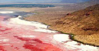 Lago Natron en Tanzania