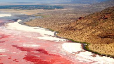 Lago Natron en Tanzania