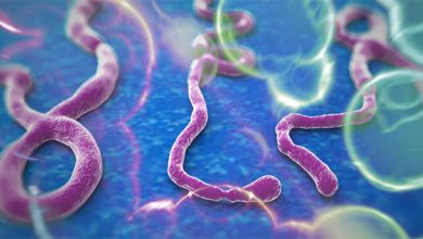 Virus Ébola