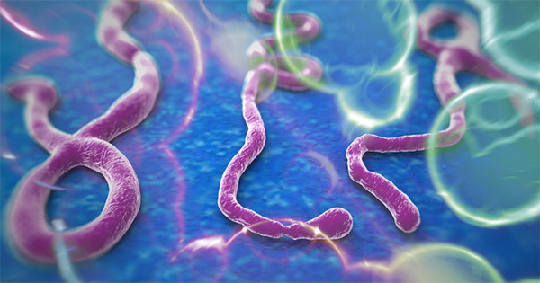 Qué es el virus Ébola