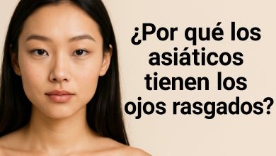¿Por qué los asiáticos tienen los ojos rasgados?