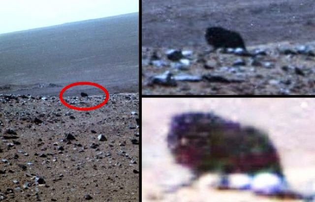 four-legged-creature-mars-opportunity-mars-rover