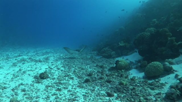 El oceano intraterrestre que tiene desconcertados a los científicos