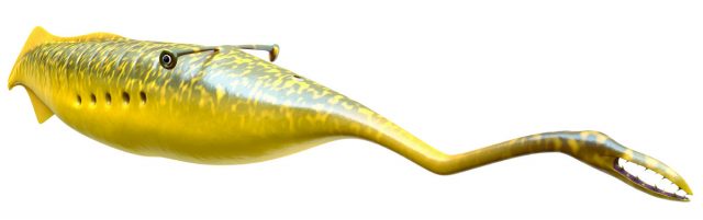 This undated reconstruction sketch provided by The Field Museum in Chicago shows what a Tully monster, an oddly configured sea creature. Fossil hunters have been finding samples of Illinois' state fossil in the Mazon Creek area for decades but no one has ever been able to say exactly what a Tully monster is. That changes Thursday, March 17, 2016, with the publication of a paper in the journal Nature. (Sean McMahon/The Field Museum via AP) MANDATORY CREDIT