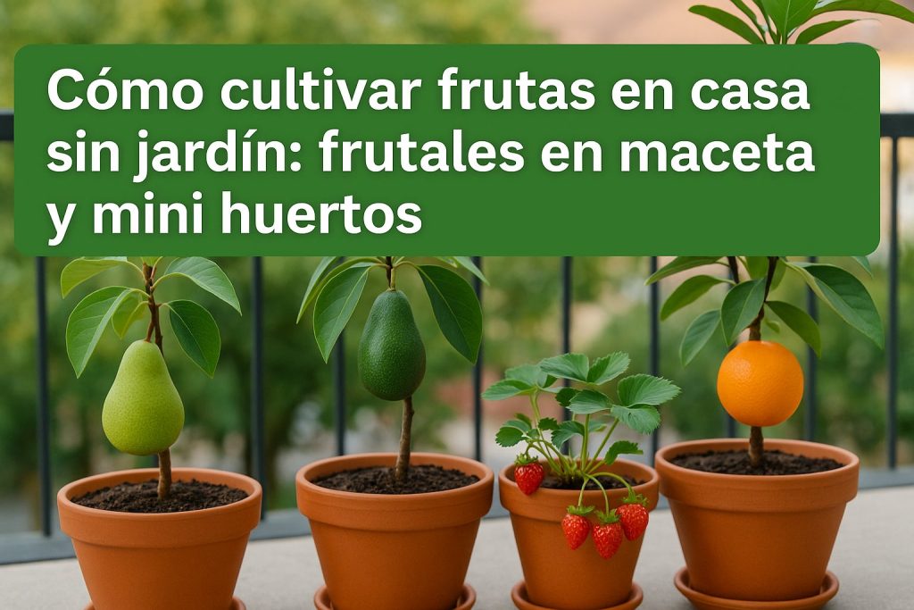 Cultivar frutas en casa sin jardin