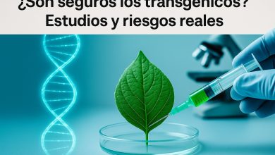 ¿Son seguros los transgénicos?