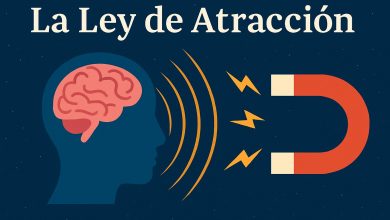 Ley de Atracción