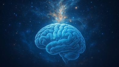 Ilustración de un cerebro conectado al cosmos, representando la consciencia universal más allá del cuerpo.