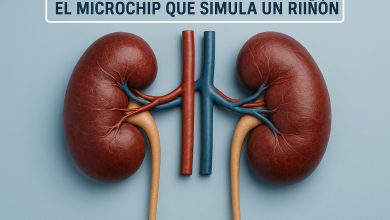 El Microchip que simula un Riñon